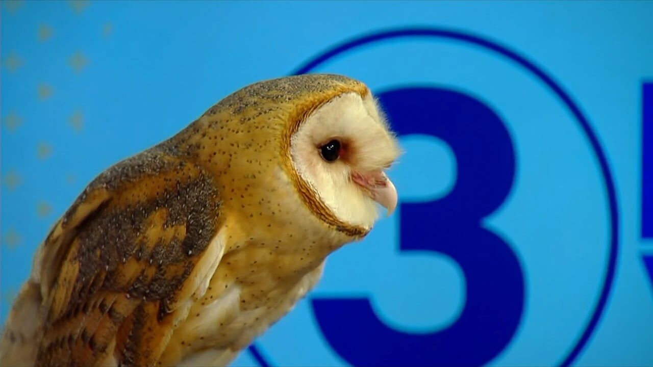 3 Plus Your Community- Chattanooga Nature Center